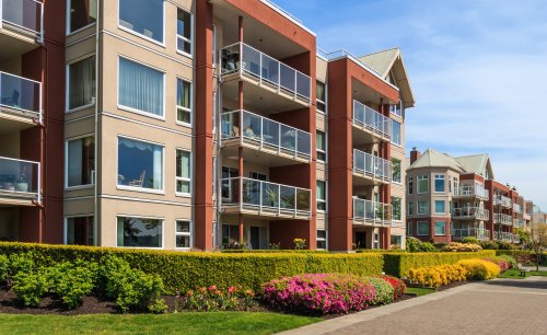 Back-to-Basics-Temporary-Housing