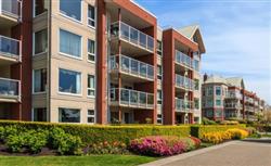 Back-to-Basics-Temporary-Housing